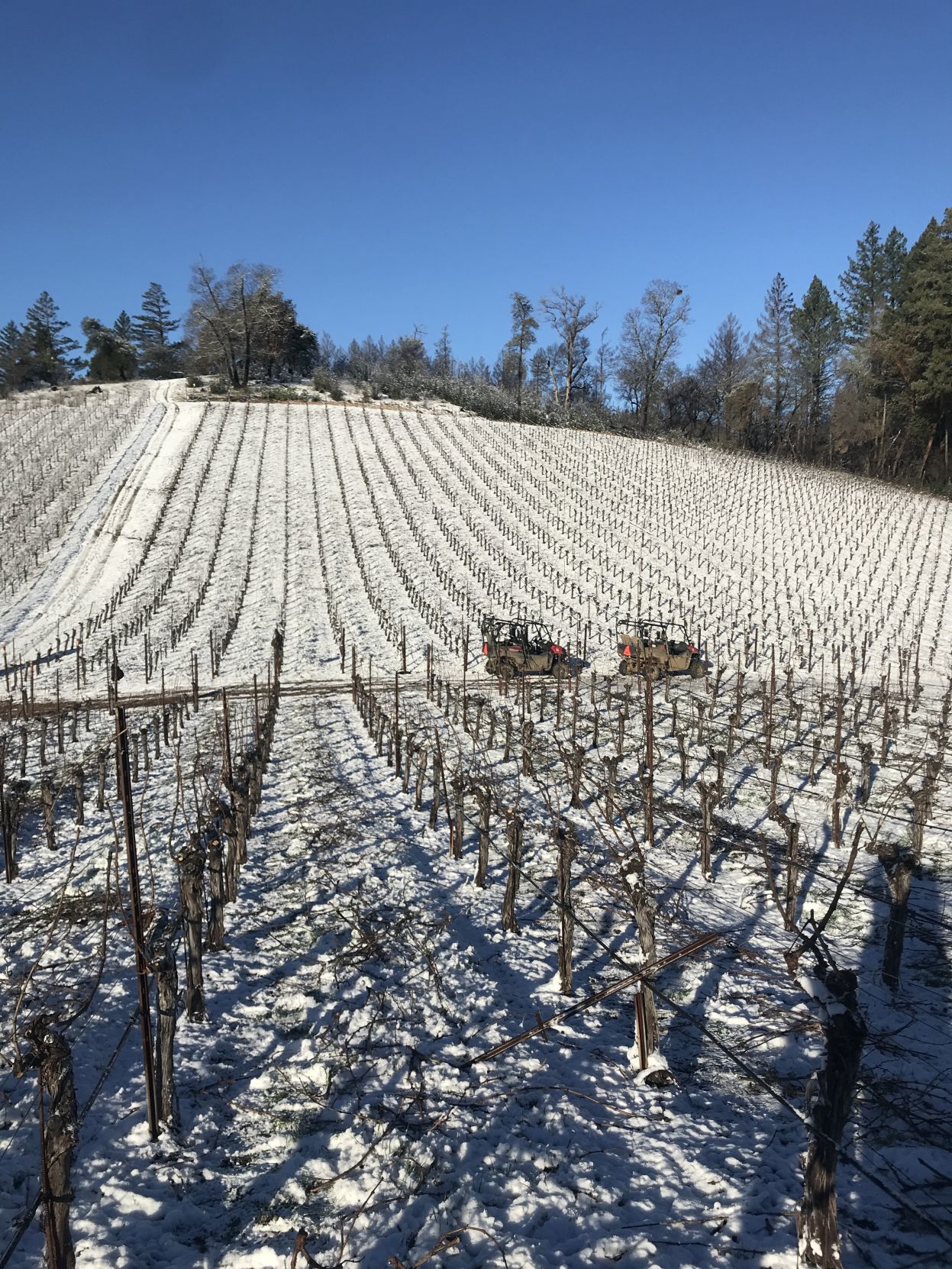From Our Readers: Snow in Napa Valley